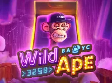 Casina Casino screenshot